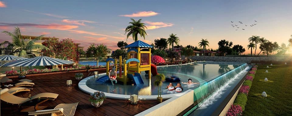 Garden with a Swiming Pool