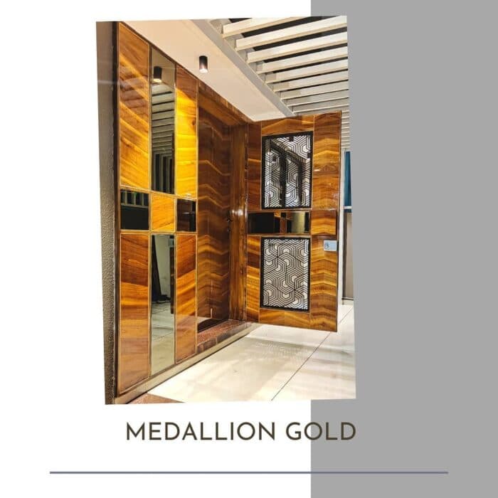 Large Wooden Door with a Full-Length Mirror