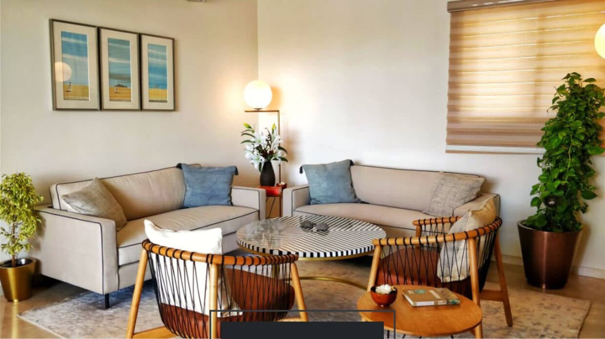 Modern and Elegant Living Room