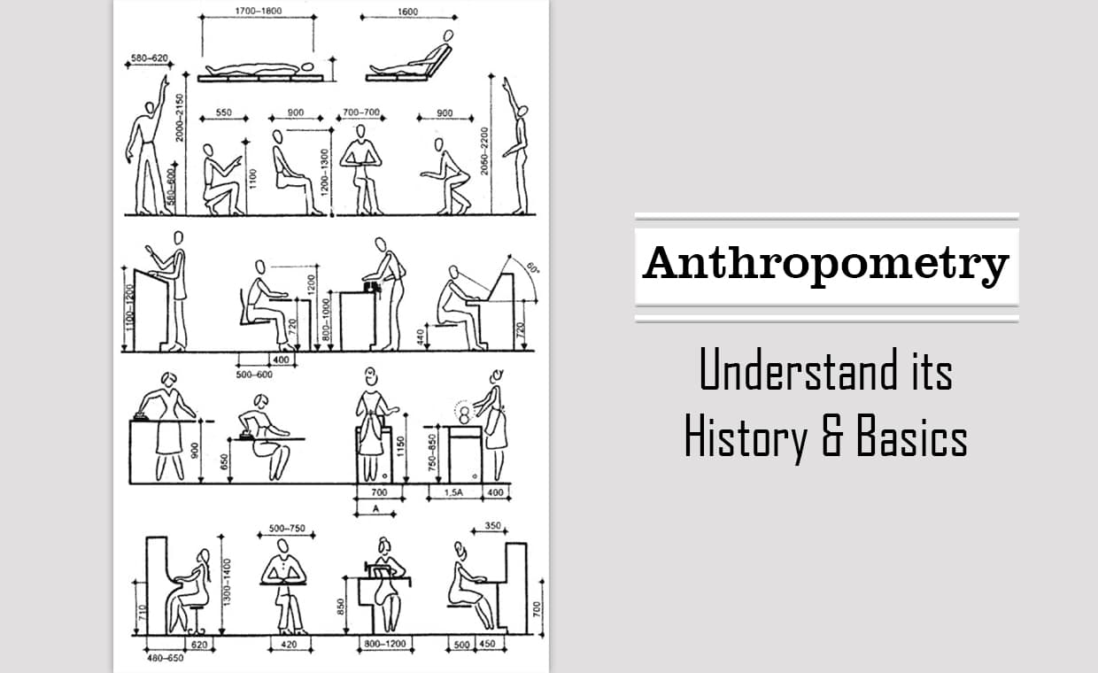 Anthropometry – Understand its History & Basics – 01 – 0102060026 Anthropometry - Understand its History & Basics