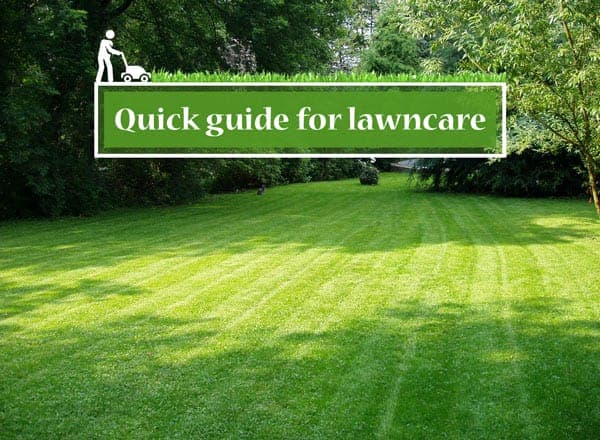 Make your lawn free from weeds – 00 – 1403010001 Lawn Care for New Homeowners