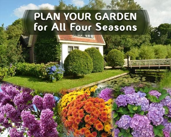 Make the Right combination of trees, shrubs, & perennials flowers – 01 – 1401010002 Make the Right combination of trees, shrubs, & perennials flowers