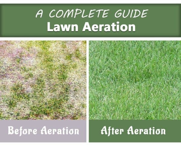 Aerating Your Lawn – 00 – 1403130003 Aerating Your Lawn
