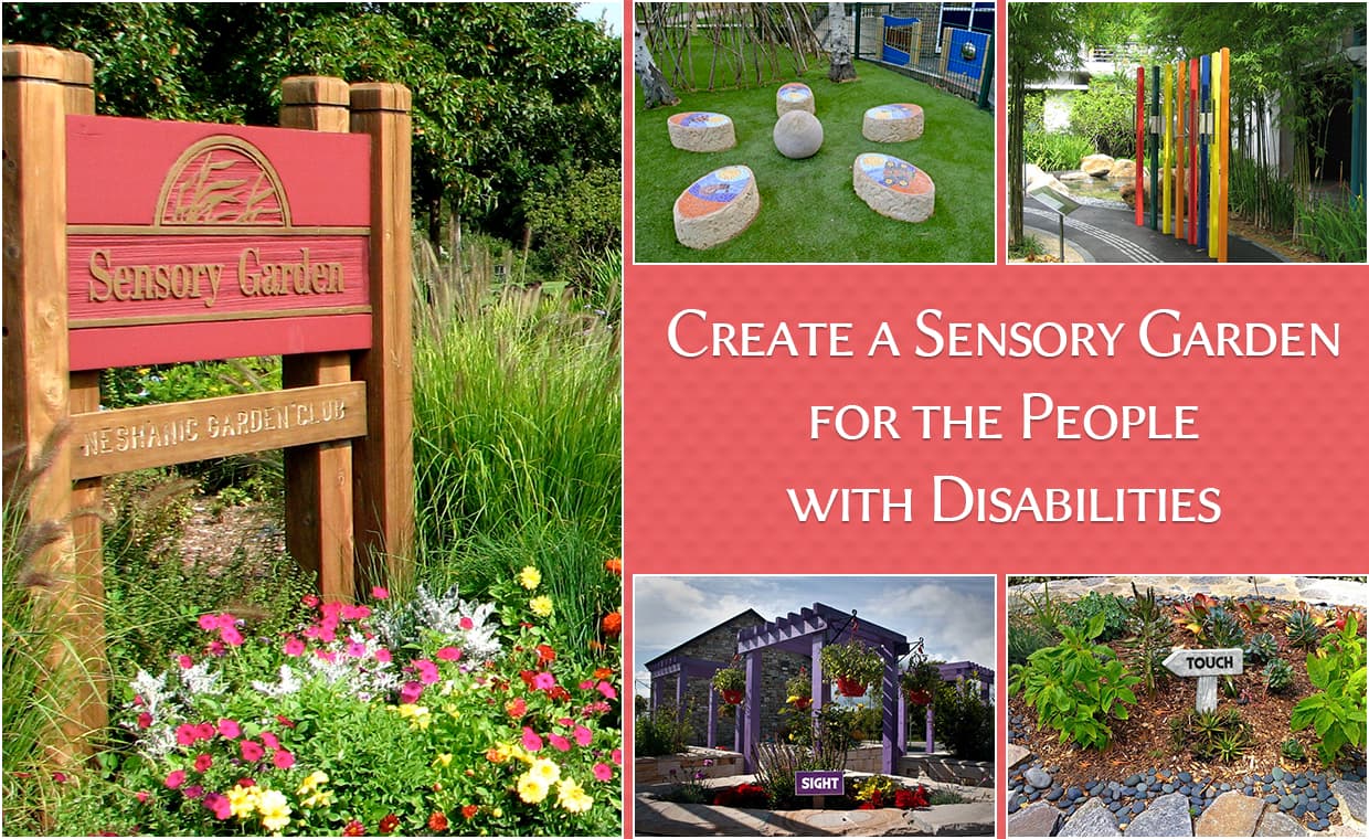 Sensory Garden Sensory Garden