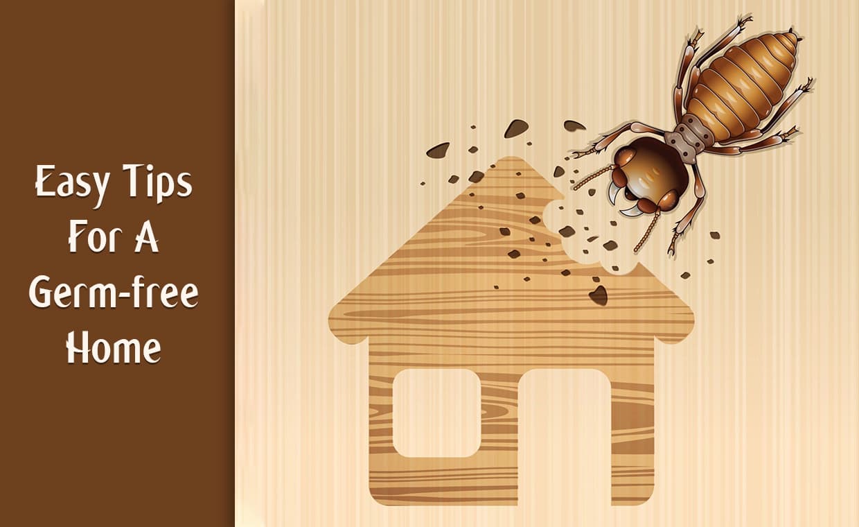 Keeping your Home Germ Free Keeping your Home Germ Free