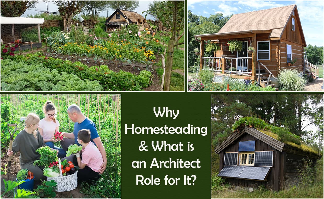 Why Homesteading & What is Architect Role for It – 01 – 0204010005 Why Homesteading & What is Architect Role for It