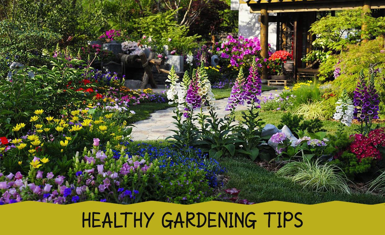 Healthy Gardening Tips – 01 – 1403020002 Healthy Gardening Tips