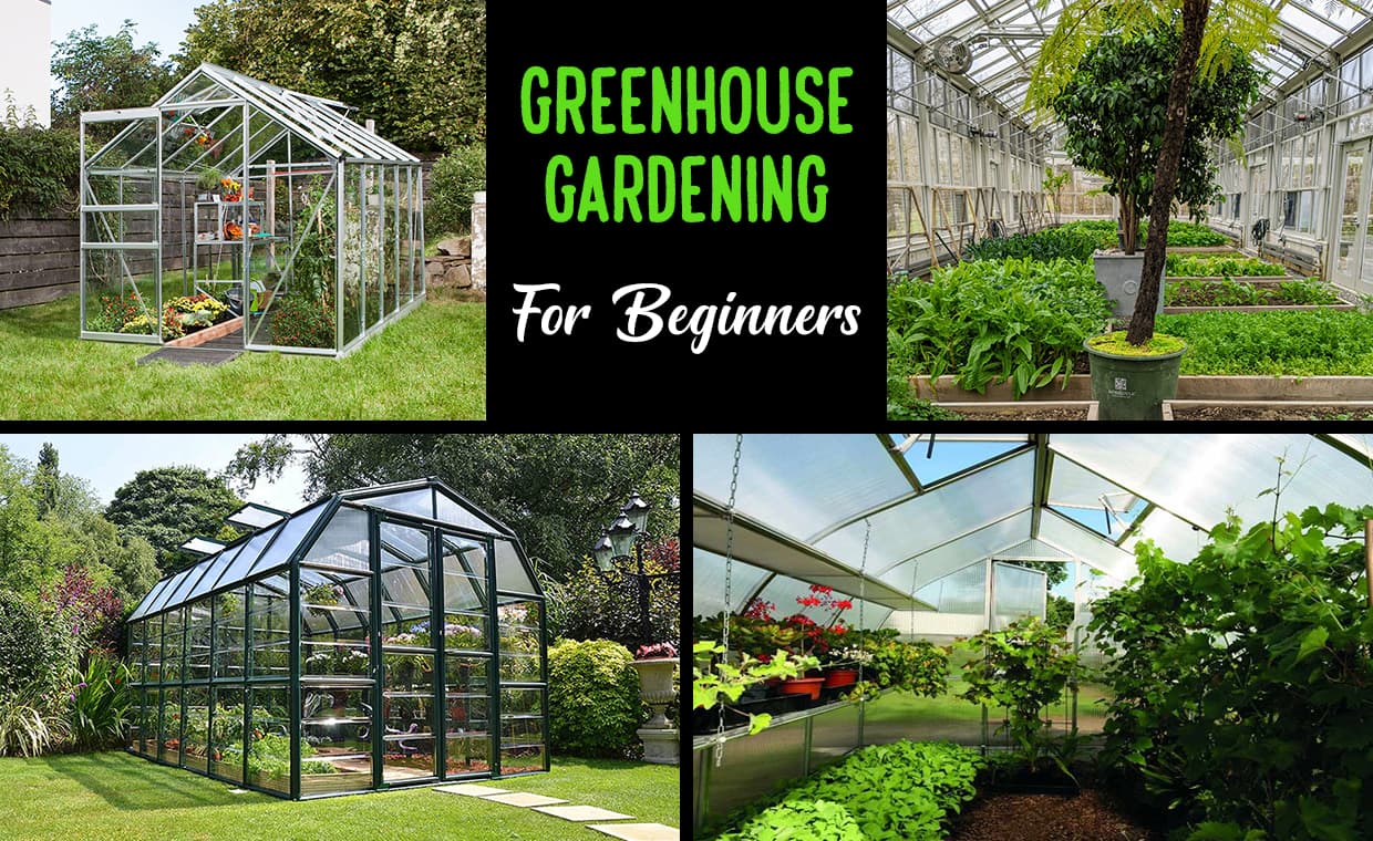 Greenhouse Gardening For Beginners 01-1402010002 Greenhouse Gardening For Beginners