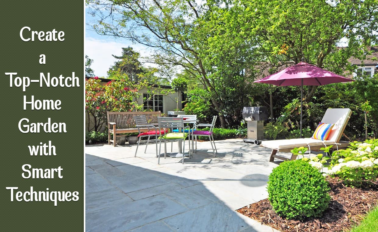 Create a Top-Notch Home Garden with Smart Techniques – 01 – 1401010011 Create a Top-Notch Home Garden with Smart Techniques