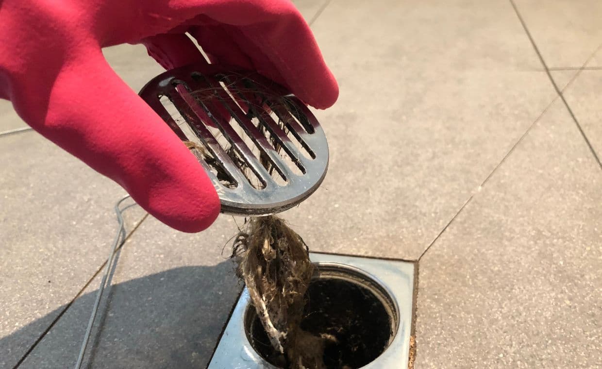 Stinking Shower Drain Stinking Shower Drain