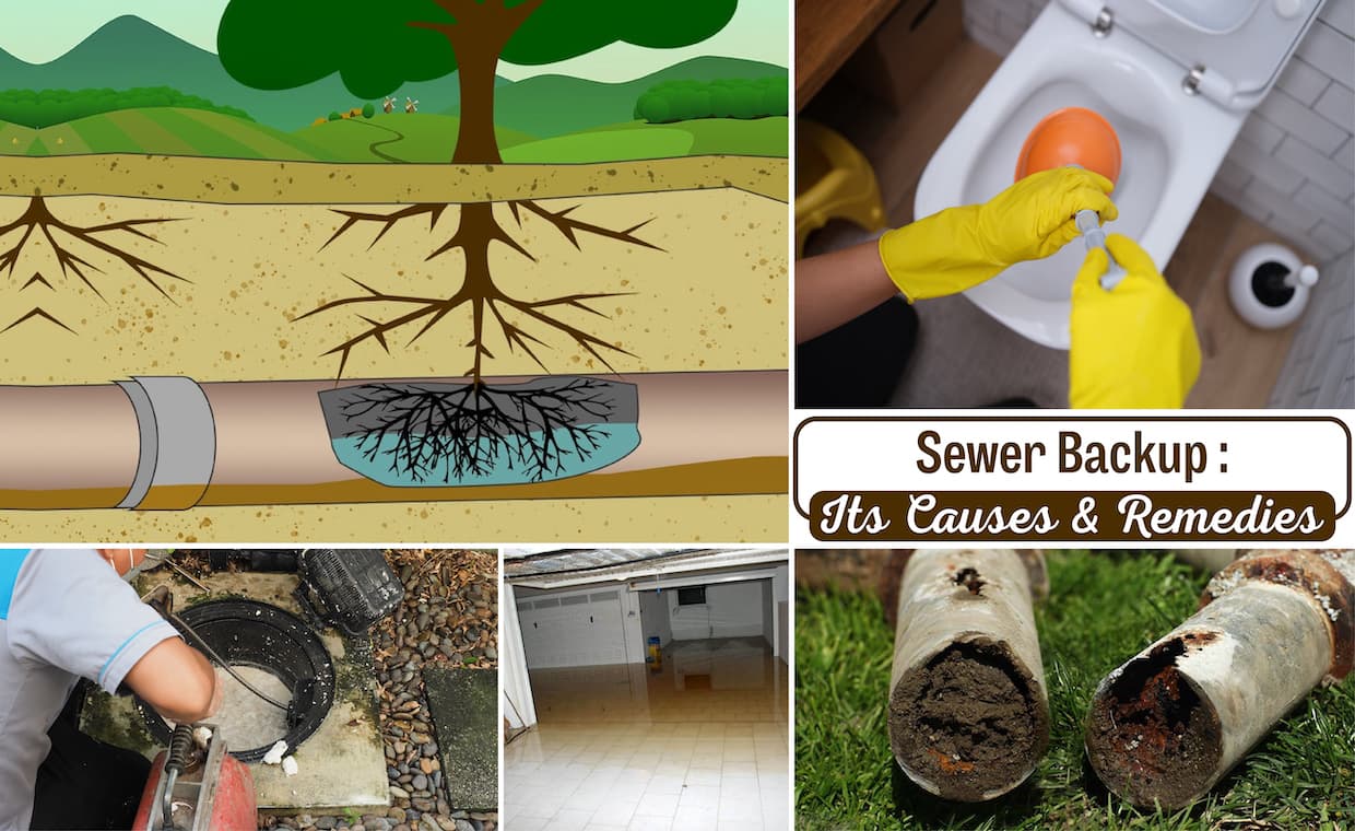 Sewer Backup Causes & its Remedies Sewer Backup Causes & its Remedies
