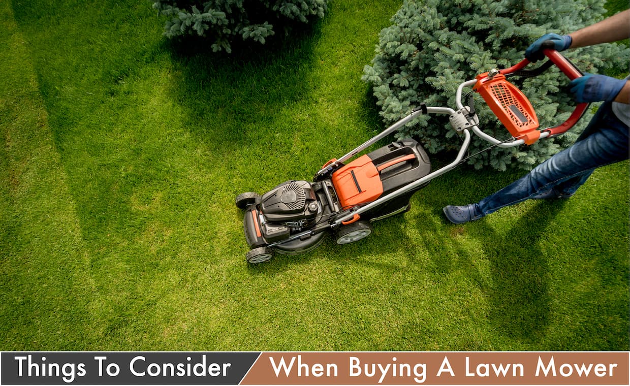 Things to Consider When Buying A Lawn Mover Things to Consider When Buying A Lawn Mover
