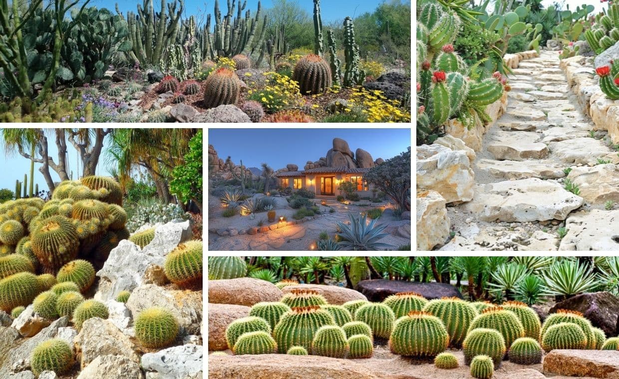 Desert Landscaping Ideas Desert Landscaping Ideas