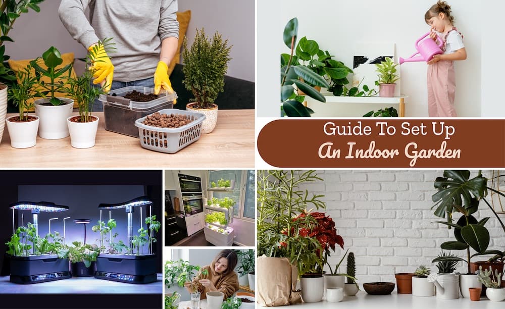 Guide To Set Up An Indoor Garden Guide To Set Up An Indoor Garden
