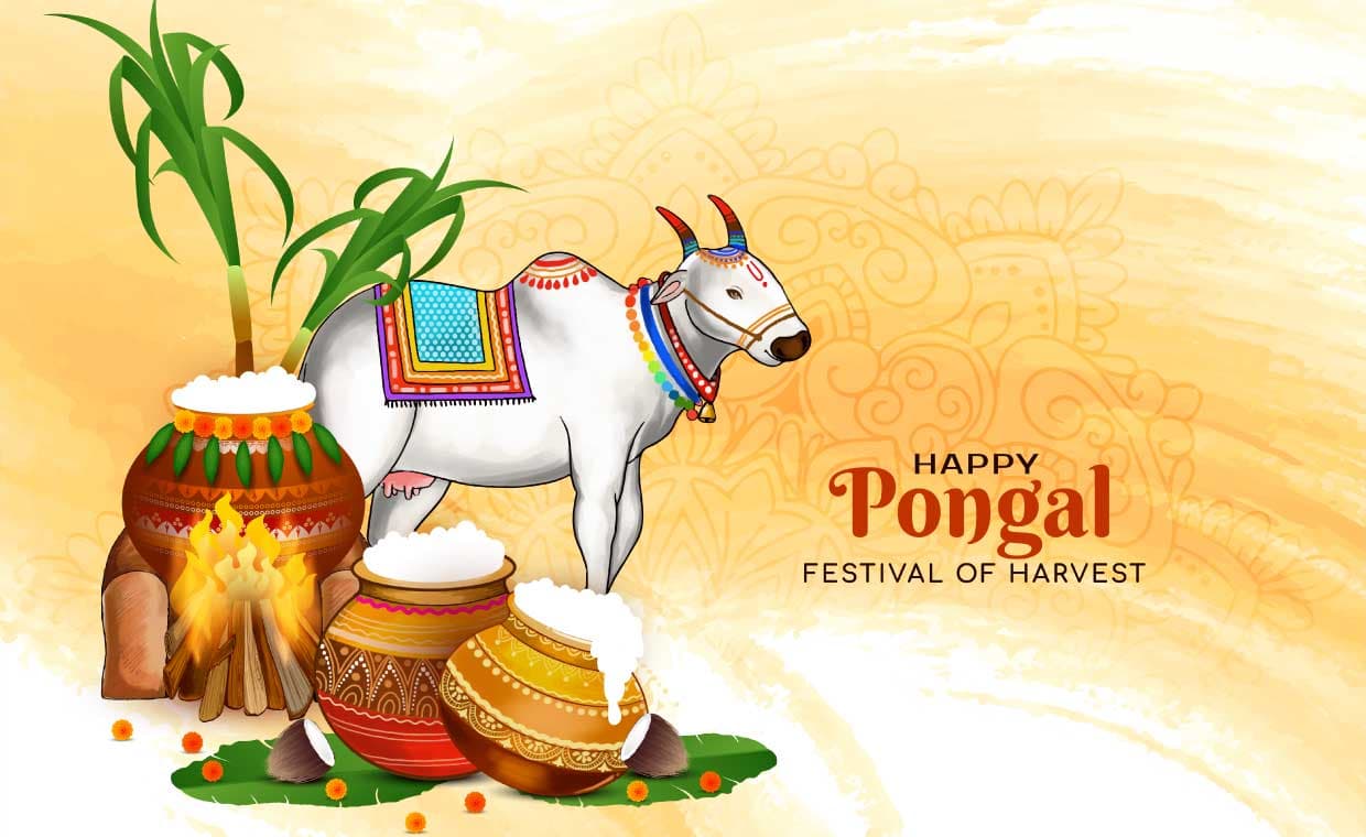 Pongal Decoration Ideas Pongal Decoration Ideas