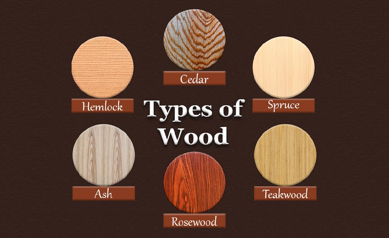 Types of Wood Image Types of Wood Image