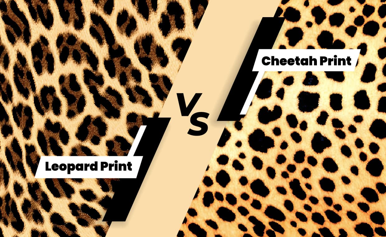 Leopard vs Cheetah Print Leopard vs Cheetah Print
