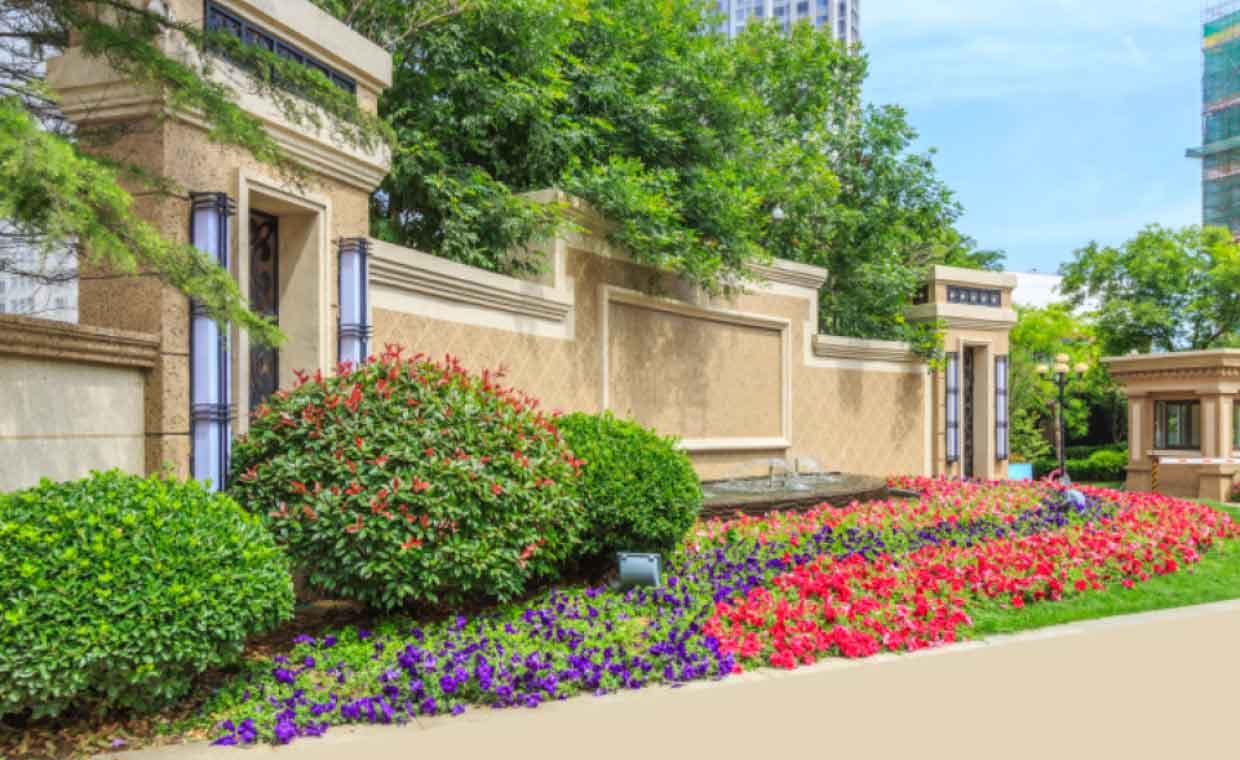 Ways To Choose the Perfect Specimen Trees for Your Landscape Ways To Choose the Perfect Specimen Trees for Your Landscape