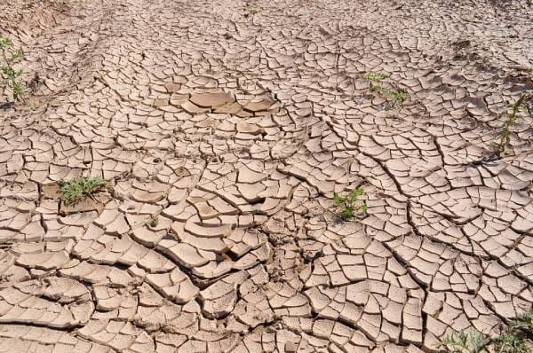 Drought