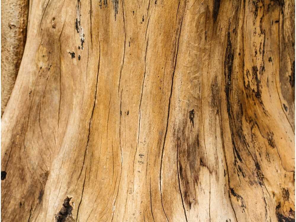Sticky Marks on Wood