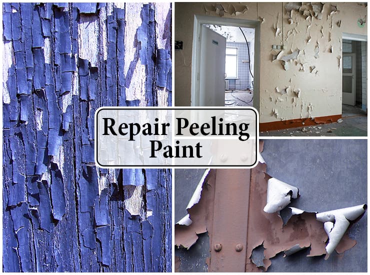 Repair Peeling Paint