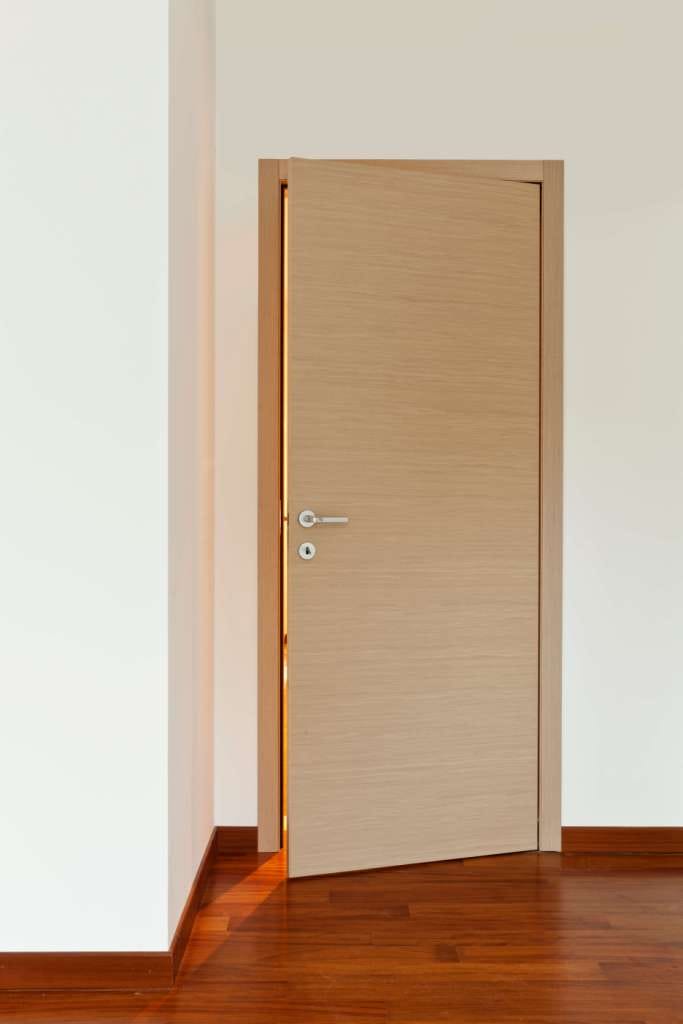 Flush Door