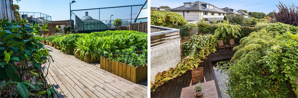 Terrace gardens adding cooling effect Terrace gardens adding cooling effect
