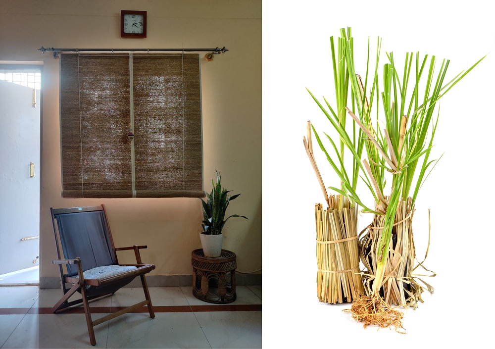 Vetiver or khus curtains to reduce heat in home Vetiver or khus curtains to reduce heat in home
