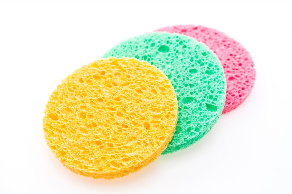 Sponges