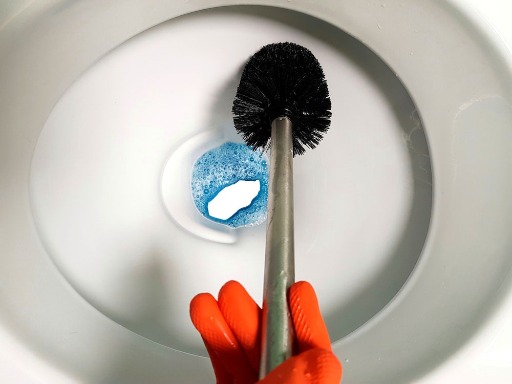 Toilet Brush