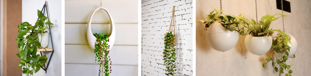 Grow a Hanging Garden