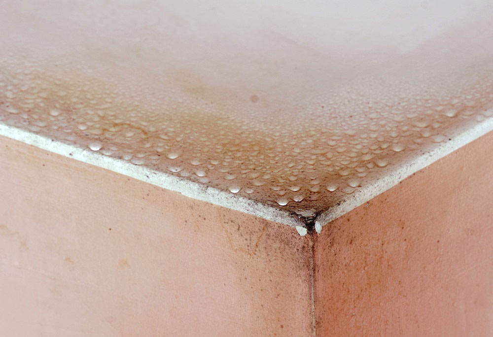 Moisture Damage in Toilet