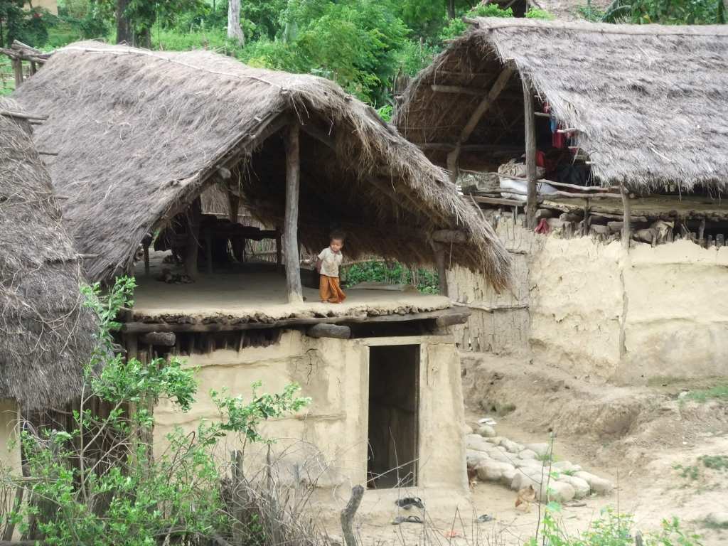 Mud Roof
