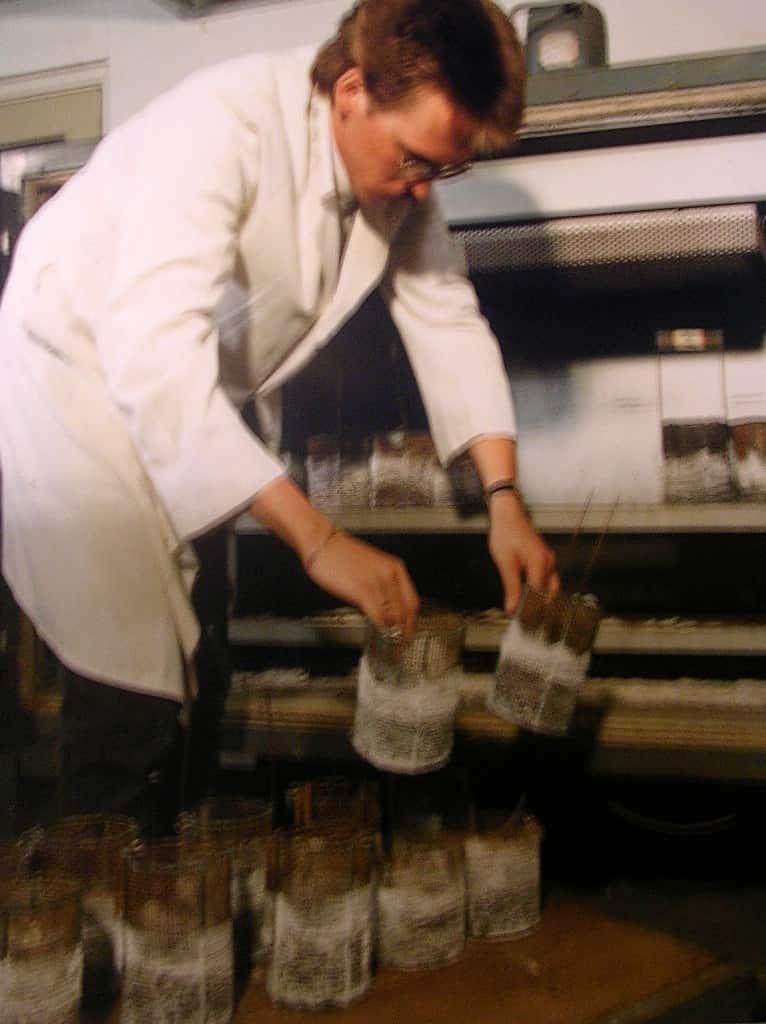 Soundness Test on Aggregate by Expert