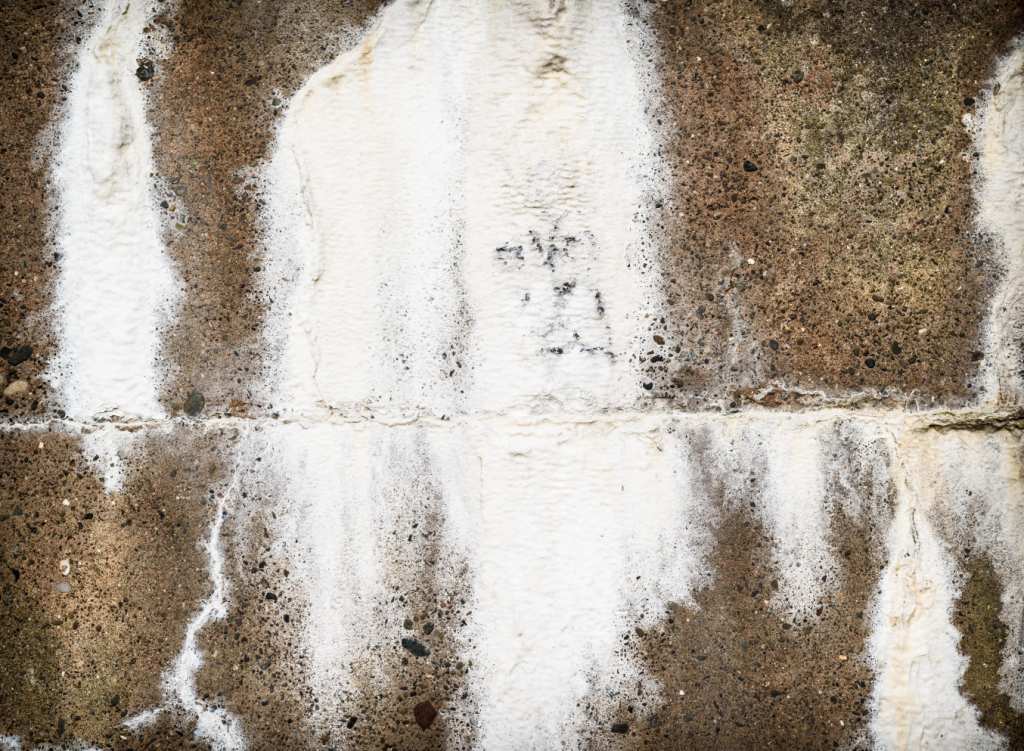Efflorescence Defect in Paint
