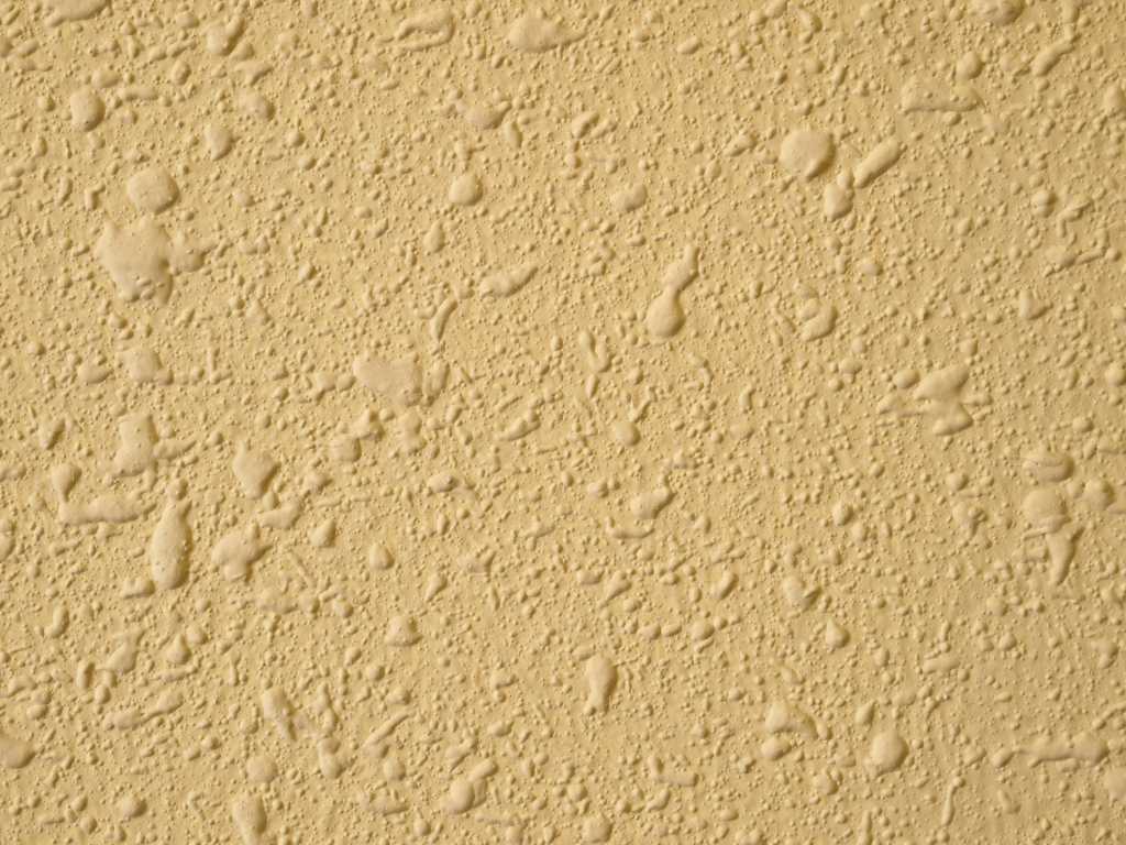 Blistering Defect in Paint