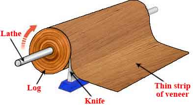 Rotary Cut Veneer