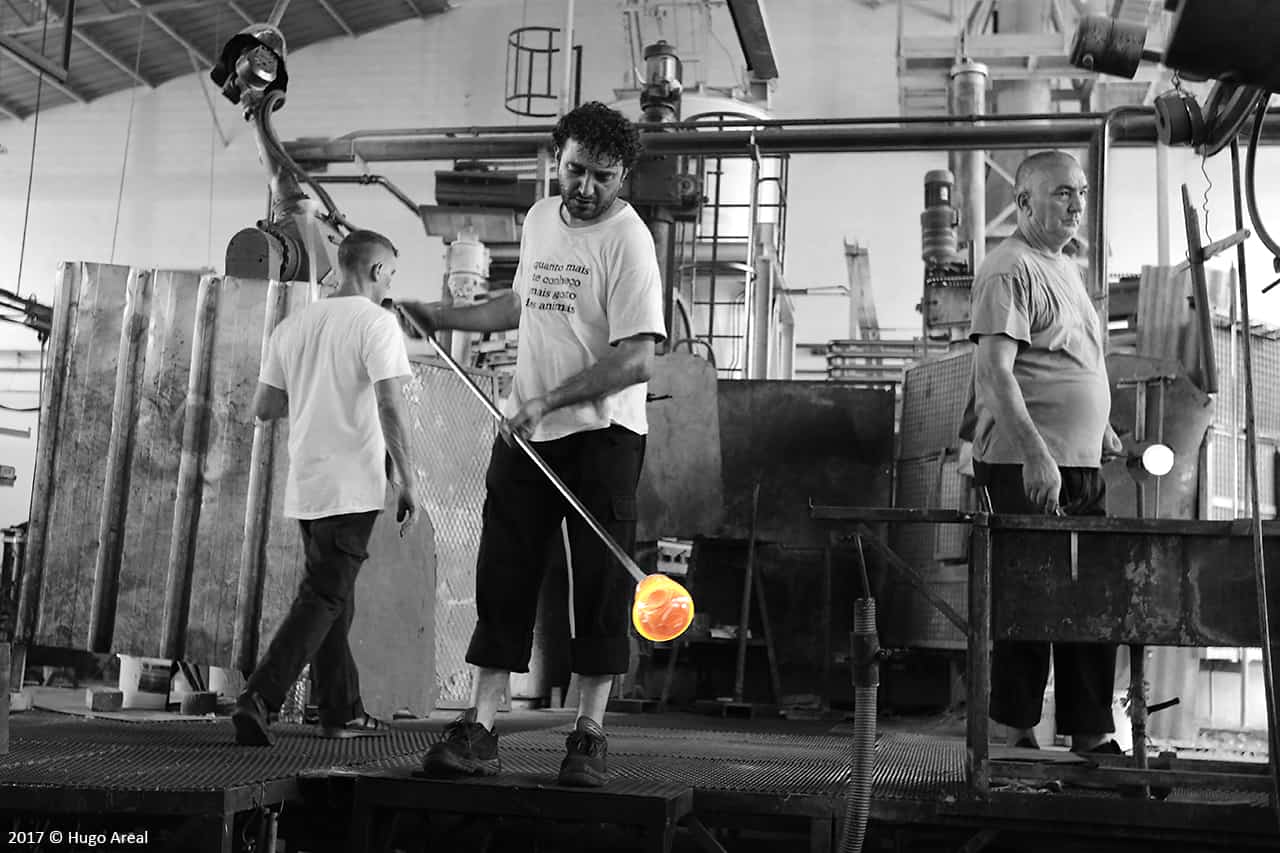 Float Glass Manufacturing Companies
