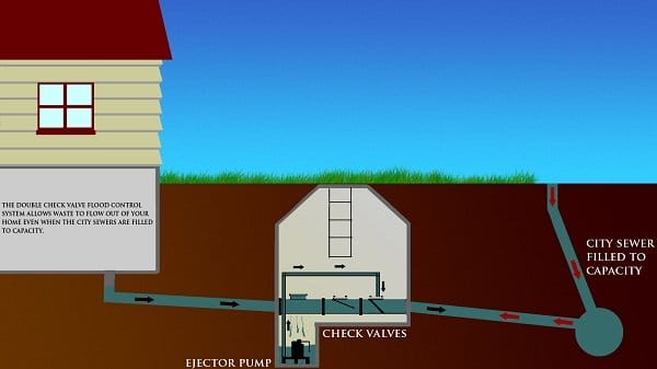 Check Valve