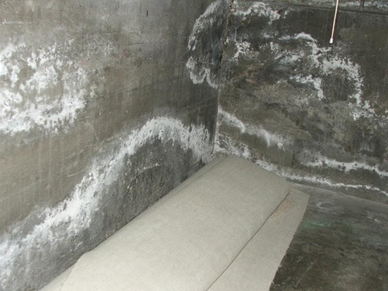 Efflorescence on Concrete