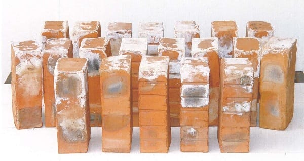 Testing of Bricks For Efflorescence