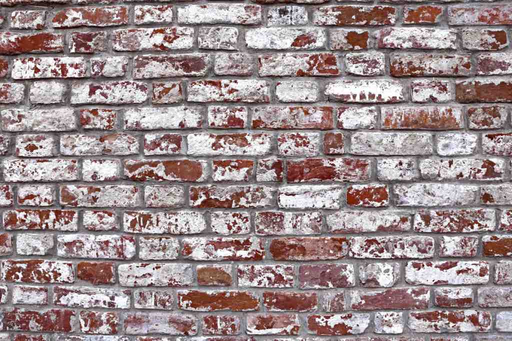 Efflorescence in Paint