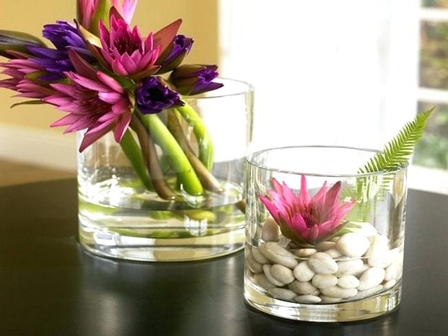 Add Decorative Stone & Water as a Vase Fillers!