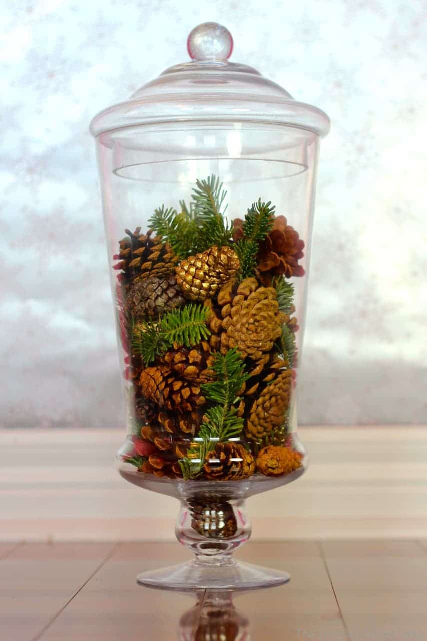Pinecones Vase Fillers!