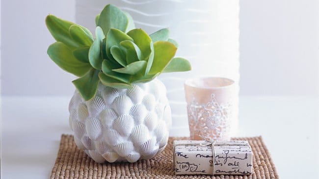 DIY Vase with Sea Shells!