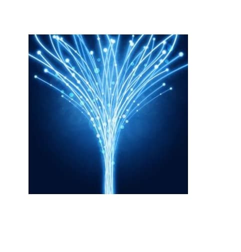 Optical Fiber