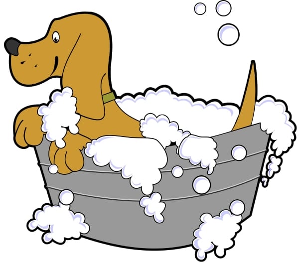 Don’t forget Your Pets for germ free home