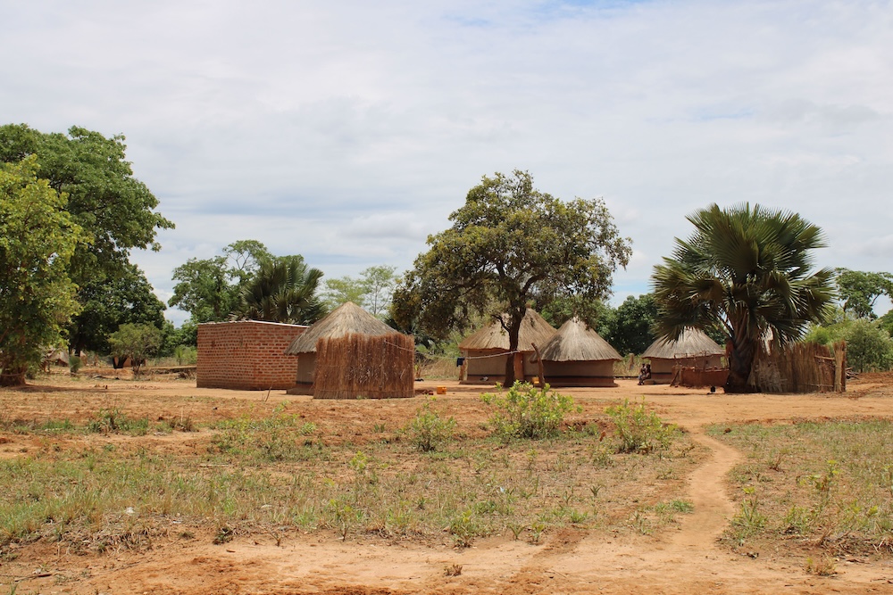 Vernacular Architecture Houses