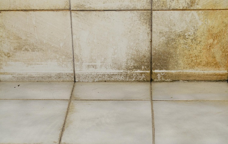 Moisture and Stain Issues
