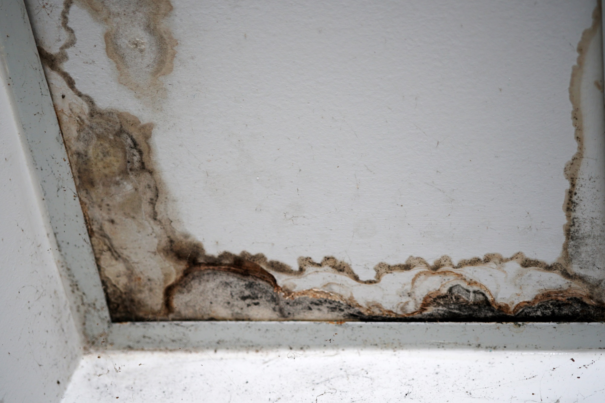 Cracks Due To Moisture Infiltration